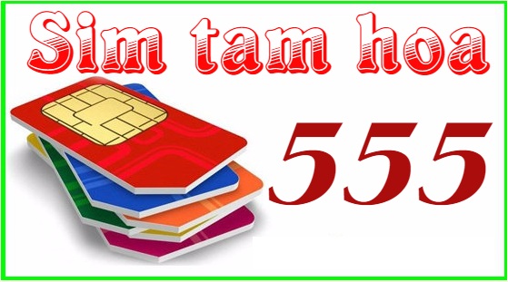 Khám phá ý nghĩa số 555 là gì trong dãy sim tam hoa?